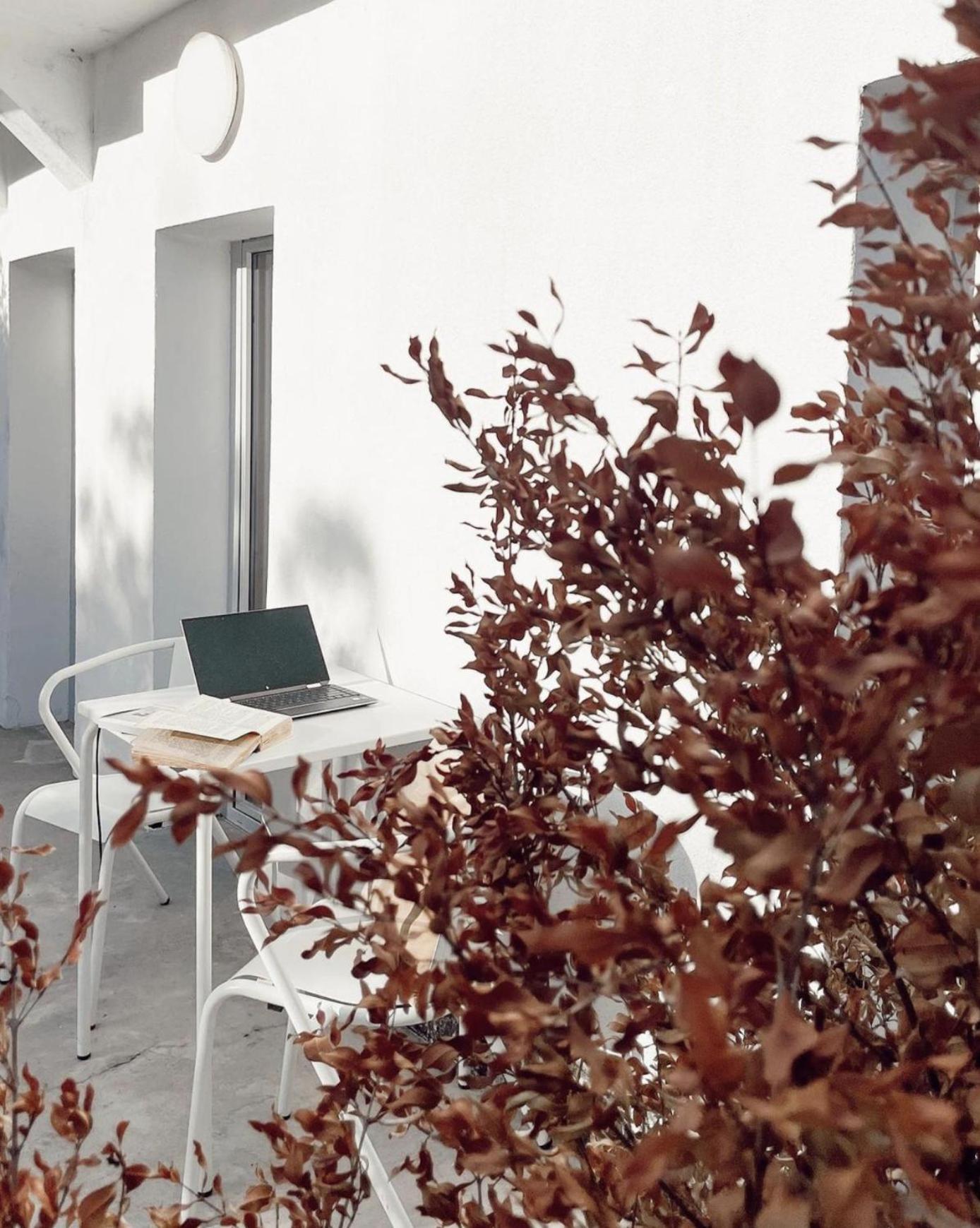 Apartamento Cozy Graca Lisboa
